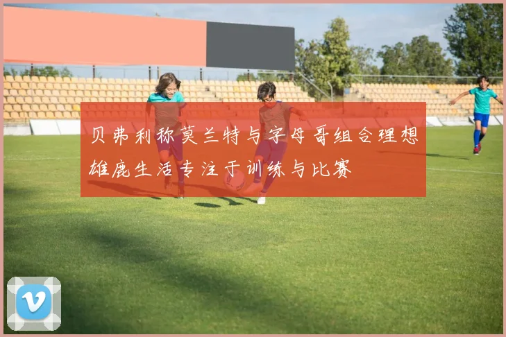 贝弗利称莫兰特与字母哥组合理想雄鹿生活专注于训练与比赛