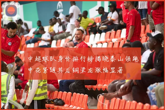 中超球队身价排行榜揭晓泰山领跑申花紧随其后铜梁龙涨幅显著